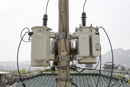 케이이에스 PC 이미지 1941709